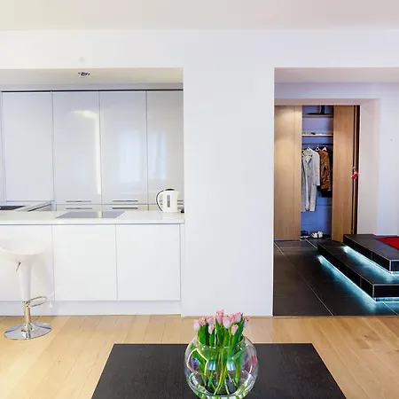 Apartment Niguliste Loft *